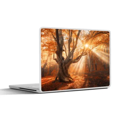 Produktbild von MuchoWow® Laptop Aufkleber Sticker Cover Baum - Natur - Herbst 31x22.5 cm - Laptop-Deko