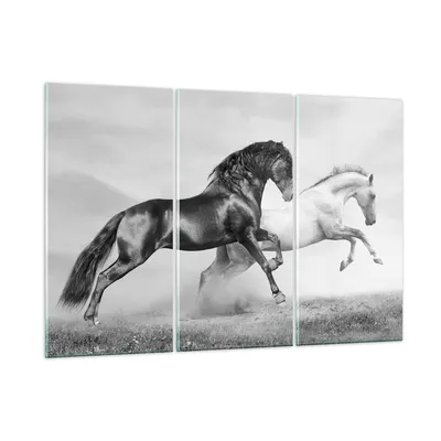 Produktbild von Bilder auf glas - Pferde Tiere Galopp Wiese - 105x70cm - Glasbilder - Wandbilder - Kunstdruck - zum Aufhängen bereit - Wanddekoration aus Glas - Glas Bilder - Wandbild auf Glas - GCE105x70-2683