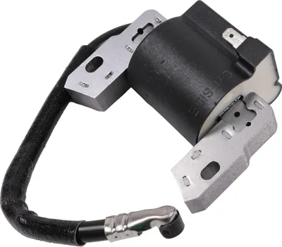 Immagine prodotto di Bobina di accensione per Briggs&Stratton da 2 a 4 CV 591420 793352 792594 793281 792395 697036