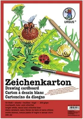 Produktbild von Zeichenkarton wei DIN A3 200g