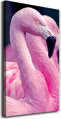 Produktbild von Tulup Leinwandbild® - 70x140cm - Wandkunst - Drucke auf Leinwand - Leinwanddruck - Wohnzimmer Wanddekoration XXL - Wohnung Deko Kunstdrucke - Tiere - Rosa - Flamingos
