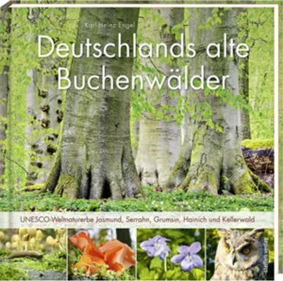 Zdjęcie produktu dla Deutschlands alte Buchenwälder