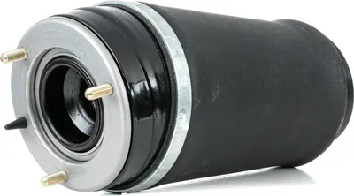 Produktbild von RIDEX 4119A0037 Luftfederung Luftfeder für LAND ROVER Range Rover III (L322) Vorne Links