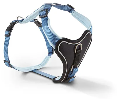 Image de Wolters Harnais Professional Comfort 90–110 cm x 35 mm river