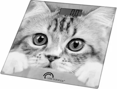 Produktbild von LITTLE BALANCE 8335 THE CAT Elektronische Personenwaage, max. 180 kg Tragkraft, LCD-Infodisplay