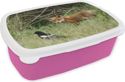 Produktbild von KitchenYeah® Lunchbox Brotzeit Brotdose 17x11 cm Tiere - Vogel - Fuchs Kinder Brotzeitdose - Lunchpaket - Brotkasten  - Sandwich Box