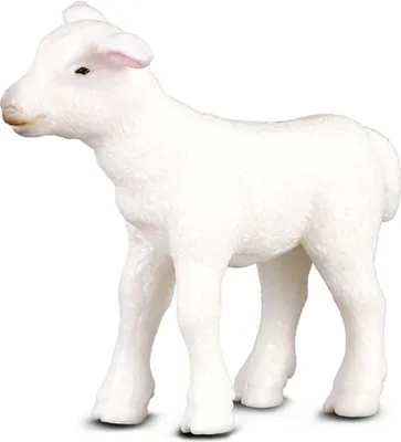 Produktbild von Collecta 88009 Lamm stehend 5 cm Bauernhof