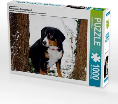 Produktbild von Calvendo Ein Motiv aus dem Kalender Entlebucher Sennenhund 1000 Teile Puzzle quer 640x480mm, CALVENDO; 7290608