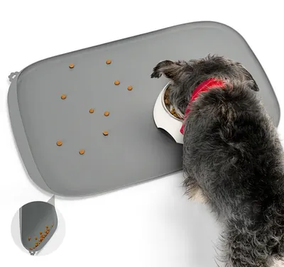 Image de Gamelle en silicone pour chiens
