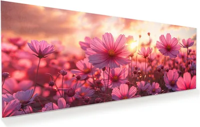 Produktbild von Glasbild 100x40cm in XXL für Wohnzimmer, Schlafzimmer Motiv Blumenfeld Sonnenuntergang