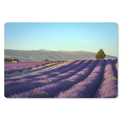 Produktbild von MuchoWow® Schreibtischunterlage Blühende Lavendelfelder auf der Hochebene von Valensole in Südfrankreich. 60x40 cm - XXL Mauspad - Großes Mauspad