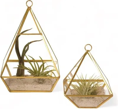 Image de WinQ - Terrarium pyramidale, doré/verre, taille S/2 - 2 tailles disponibles : 10x14 cm et 13,5x21 cm - Face avant ouverte - Livré avec une corde pour la suspension