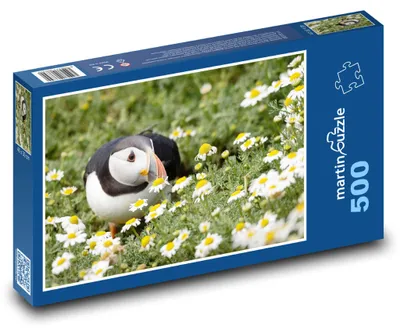 Produktbild von Puzzle 500 Papageitaucher Zwischen Blumen - martinpuzzle