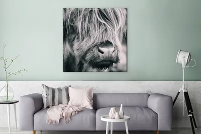 Produktbild von MuchoWow® - Leinwandbilder - Schottischer Highlander - Kuh - Schwarz - Weiß, Wandbild, Wanddeko Bilder Wohnzimmer, 90x90 cm
