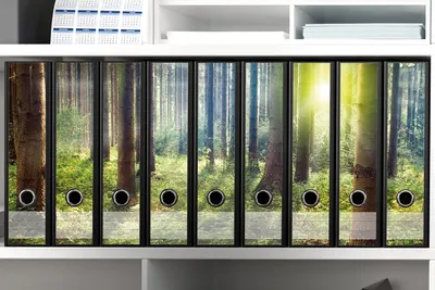 Produktbild von Wallario Ordnerrücken Sticker, selbstklebend für breite Ordner, 9 Stück, Motiv Sonnenuntergang im Wald zwischen den Bäumen