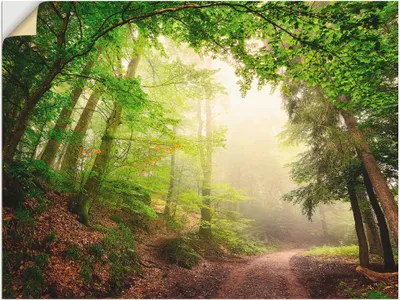 Produktbild von ARTland Wandbild, selbstklebend Natürliche Torbögen durch Bäume Größe: 80x60 cm