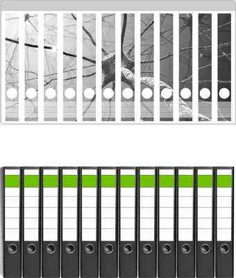 Produktbild von Wallario 12 Stück schmale Ordner inkl. Klebeetiketten mit Motive Menschliche Nervenzelle - schwarz weiß -  Set mit Rückenschildern / Ordnerrücken Stickern
