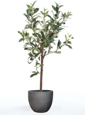 Produktbild von Szmaragdowe sztuczne mini drzewko oliwne 65 cm