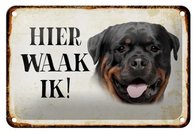 Produktbild von Blechschild Spruch 18x12cm holländisch Hier Waak ik Rottweiler Dekoration