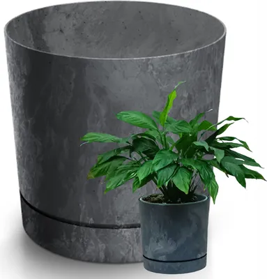 Image de Pot de fleurs TUBOS P BETON EFFECT anthracite mat 12,8 cm