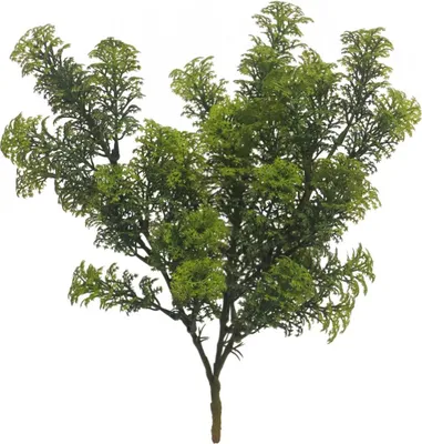 Produktbild von artplants.de Deko Wasserpflanze Limnophila sessiliflora NAYANA, Steckstab, grün, 35 cm - Sumpffreund künstlich