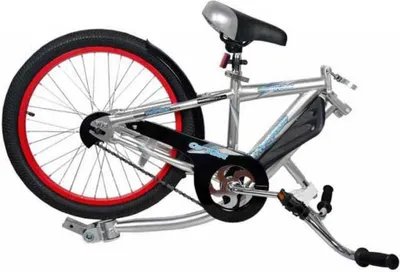 Image de Remorque vélo Weeride Co-pilot Argent Max 35 kg Garçon Argent Max 35 kg