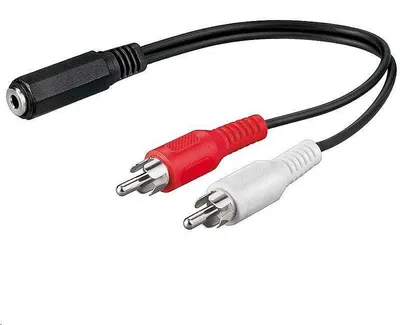 Image de PremiumCord Kabel Jack 3,5mm-2xCINCH F/M 20cm (kjackcinb02)