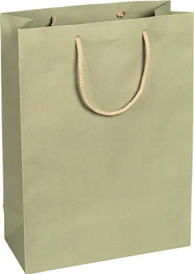 Image de Sacs en papier, vert sauge, 27 x 37 x 12 cm, cordon en coton - lot de 12