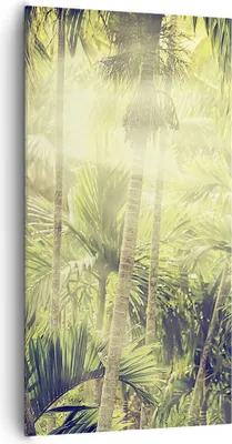 Produktbild von Bild auf Leinwand - Leinwandbild - Einteilig - Morgendämmerung Dschungel Palmen - 65x120cm - Wand Bild - Wanddeko - Wandbilder - Leinwanddruck - Bilder - Wanddekoration - Leinwand bilder PA65x120-4450
