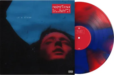 Image de Troye Sivan - In A Dream (Anniversary Edition) (Red/Blue Coloured) (180 g) (LP)