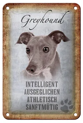 Produktbild von Blechschild Spruch 12x18cm Greyhound Hund Schild