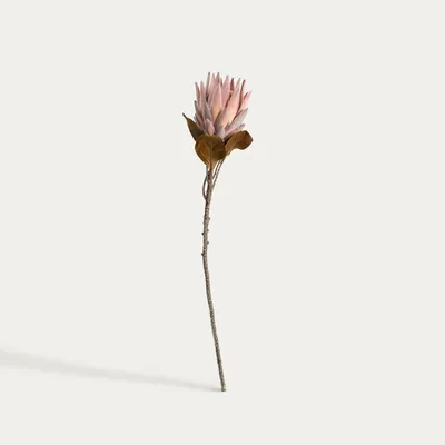 Produktbild von HOMLA Künstlicher Zweig AURELLA, rosa Protea, 72 cm