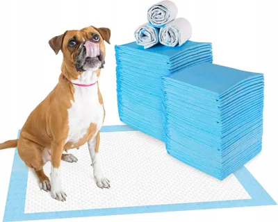 Produktbild von Trainingsunterlagen für Hunde und Welpen, auslaufsicheres Design mit schnell trocknender Oberfläche, einfarbig (150 Stück), blau 90 x 60 cm