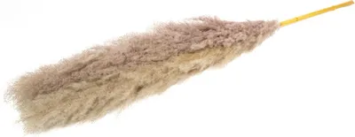 Produktbild von INNA-Glas Pampasgras getrocknet ANIAMI, grau-beige, 130-140cm, Ø20cm - Getrockneter Strauß