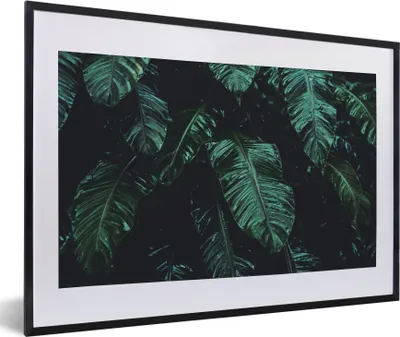Produktbild von MuchoWow® Gerahmtes Poster Dschungel - Palme - Blätter - Tropisch 60x40 cm - Poster mit Schwarzem Bilderrahmen Wandposter Rahmen Foto Bilder - Schlafzimmer - Plakat in Rahmen - Drucken