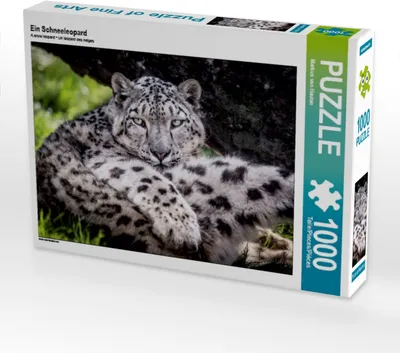 Produktbild von Calvendo Ein Schneeleopard 1000 Teile Puzzle quer 640x480mm, van Hauten Markus; 7375013