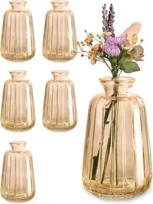 Produktbild von Famanu Set von 6 Mini-Glasvasen - Vintage Tischdekoration - Spülmaschinenfest