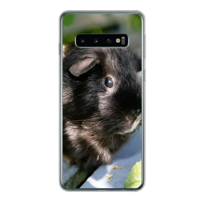 Produktbild von MuchoWow® Handyhülle Schutzhülle Hülle für Samsung Galaxy S10 Meerschweinchen im Garten Silikon Softcase Handy Hülle - Handytasche