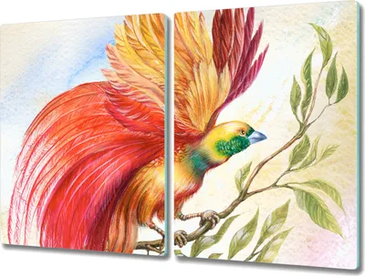 Produktbild von Coloray Kochplattenabdeckung Herdabdeckplatte 2x40x52 cm Hackbrett Schneidebrett Küchenbrett - Tier Vogel