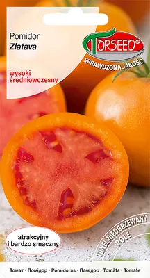 Produktbild von Samen von Zlatava große Tomate 0.2g - Torseed
