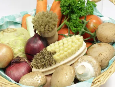 Produktbild von Set aus Gemüsebürste und Champignonbürsten, 100% Natur, 2 Stück