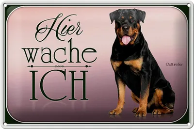 Produktbild von Blechschild Hund 30x20cm Rottweiler hier wache ich
