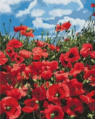 Obrázok produktu pre Maľovanie podľa čísel – Úžasné maky 40 x 50 cm – Ideyka