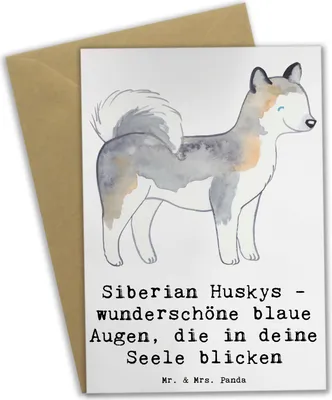 Produktbild von Mr. & Mrs. Panda Klappkarte Siberian Husky Augenzauber - Weiß - Geschenk, Hunderassen, weihnachtskarten, hochzeitskarten, babykarte, Hundeliebhaber, spielen, Vielfalt