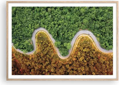 Produktbild von Gerahmtes Poster - Rahmen in heller Eiche - Luftaufnahmen Weg Wald - 100x70 cm - Wand Bild - Wanddeko - Wandbilder - Kunstposter - Wandposter - Bilderrahmen - Bilder - Kunstdruck - P2NAA100x70-4659