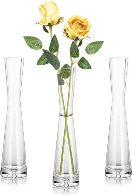 Image de Lot de vases en verre modernes de 24 cm pour la décoration de table et les fleurs