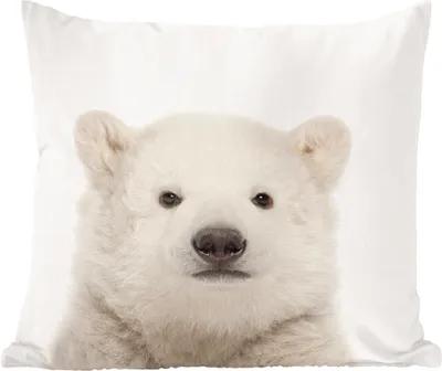 Produktbild von MuchoWow® Zierkissen Sofakissen Wohnzimmer Dekokissen 40x40 cm Eisbär - Tiere - Weiß - Kinder - Jungen - Mädchen - Foto Kissen - Schlafzimmer Dekoration