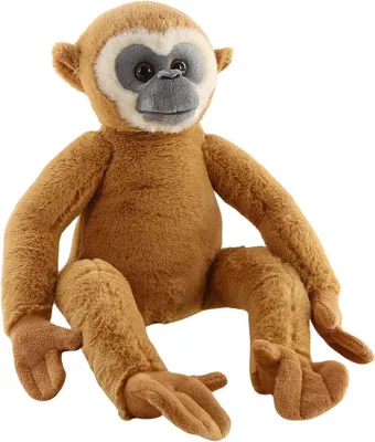 Productafbeelding van Gibbon, zittend, 48 cm