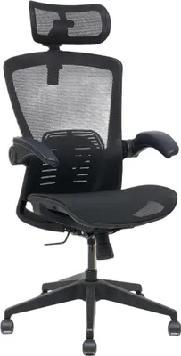 Obrázek produktu pro Ergonomická kancelářská židle OC3 PRO, černá