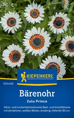 Produktbild von Kiepenkerl Bärenohrsamen Zulu Prince Arctotis fastuosa 40 Pflanzen